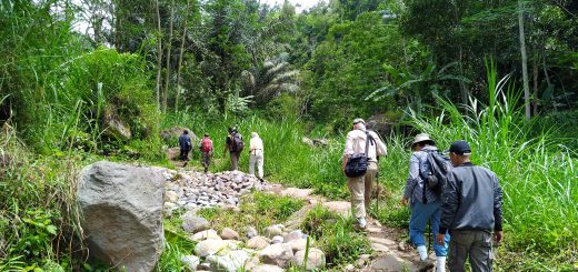 Mount arjuno welirang trekking package