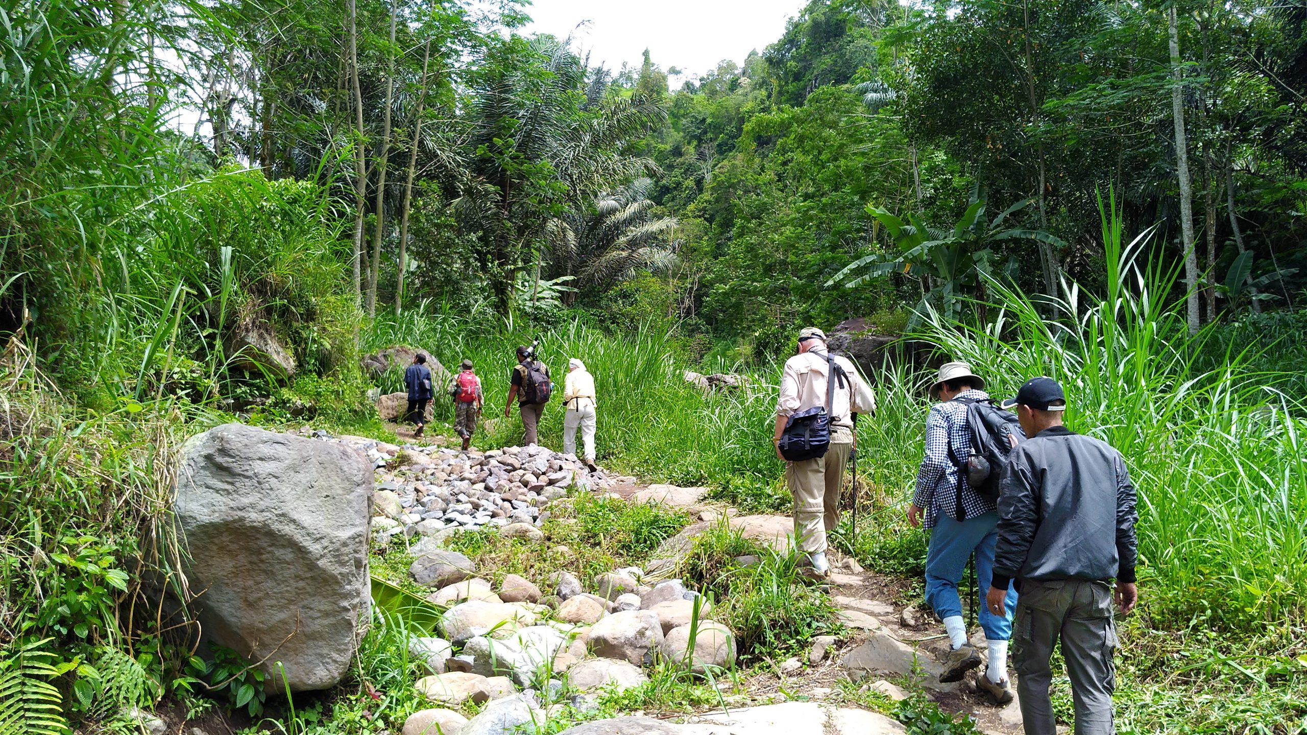 Mount arjuno welirang trekking package